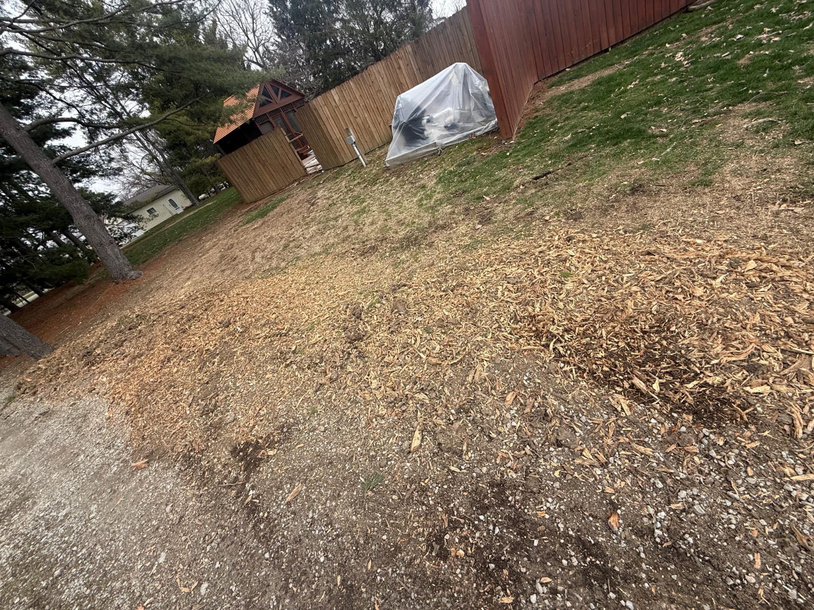 Professional Tree Solutions Indianapolis IN