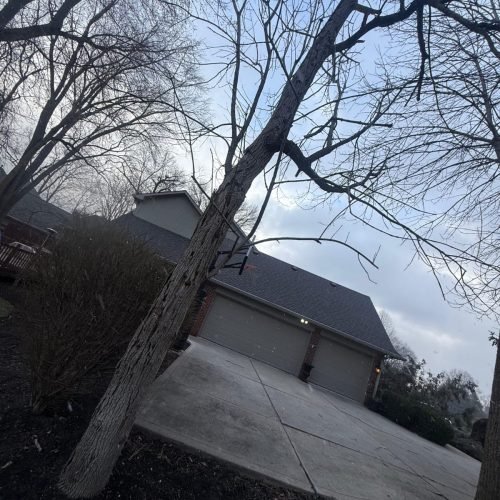 WhatsApp Image 2026-03-19 at 11.38.51 PM (1)