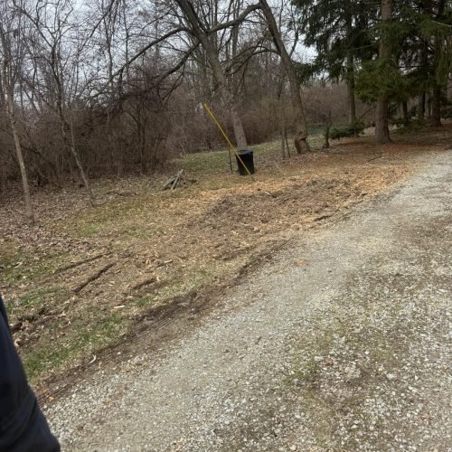 WhatsApp Image 2026-03-19 at 11.38.52 PM