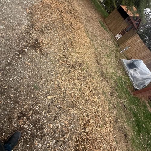 WhatsApp Image 2026-03-19 at 11.38.53 PM