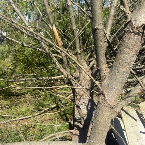 WhatsApp Image 2026-03-19 at 11.38.54 PM (1)