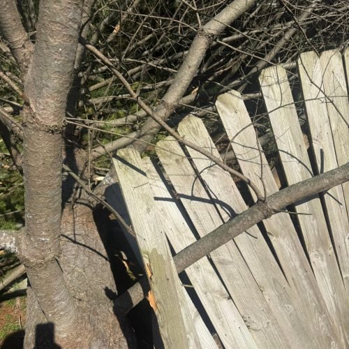 WhatsApp Image 2026-03-19 at 11.38.54 PM (2)