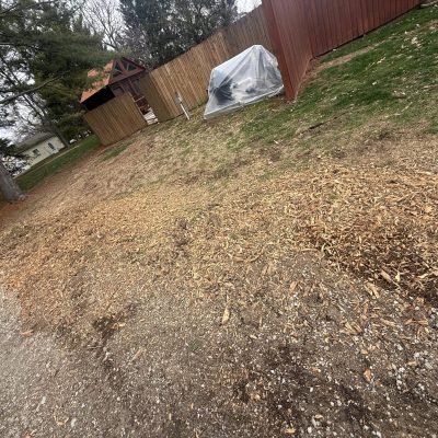 Professional Tree Solutions Indianapolis IN