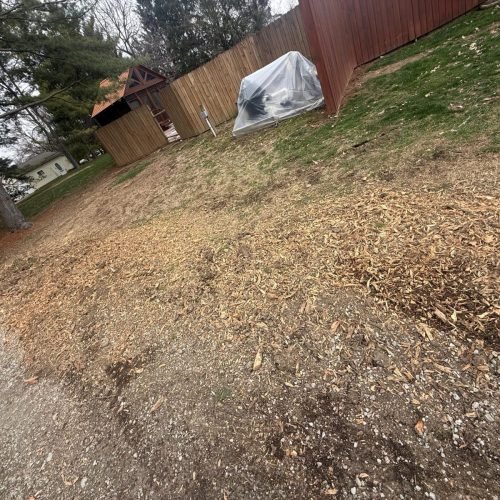 Professional Tree Solutions Indianapolis IN