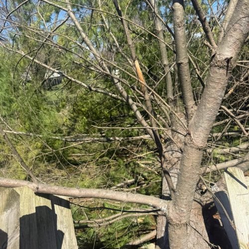 WhatsApp Image 2026-03-19 at 11.38.55 PM