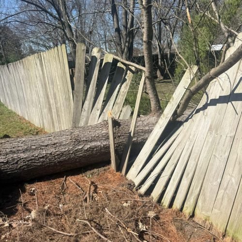 WhatsApp Image 2026-03-19 at 11.38.56 PM