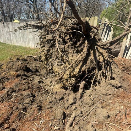 WhatsApp Image 2026-03-19 at 11.38.57 PM (1)