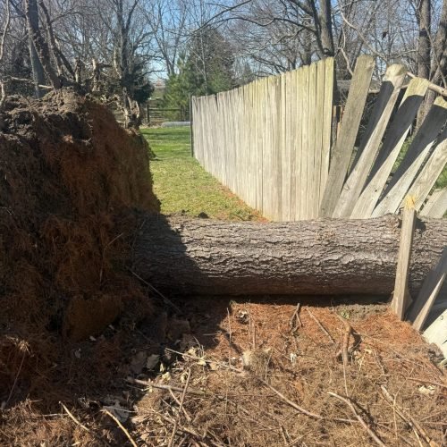 WhatsApp Image 2026-03-19 at 11.38.57 PM