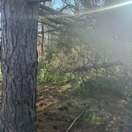 WhatsApp Image 2026-03-19 at 11.38.58 PM