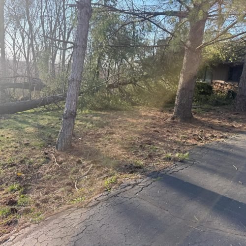 WhatsApp Image 2026-03-19 at 11.38.59 PM (1)