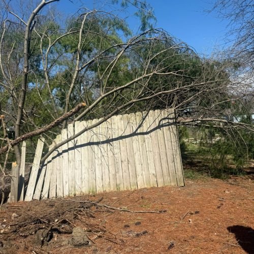 WhatsApp Image 2026-03-19 at 11.39.00 PM