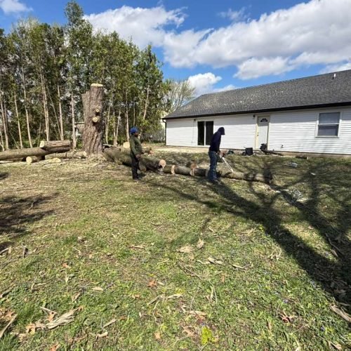 WhatsApp Image 2026-04-06 at 1.36.23 PM (1)