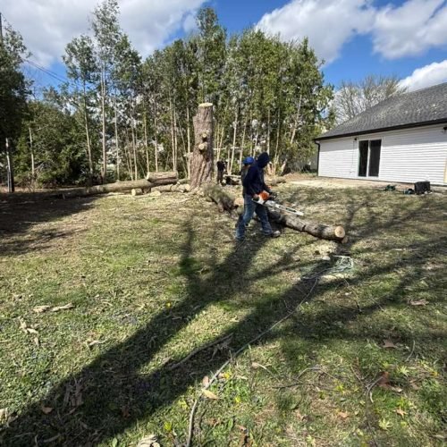 WhatsApp Image 2026-04-06 at 1.36.23 PM (2)