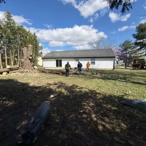 WhatsApp Image 2026-04-06 at 1.36.23 PM