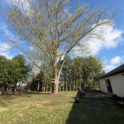 WhatsApp Image 2026-04-06 at 1.36.24 PM (1)