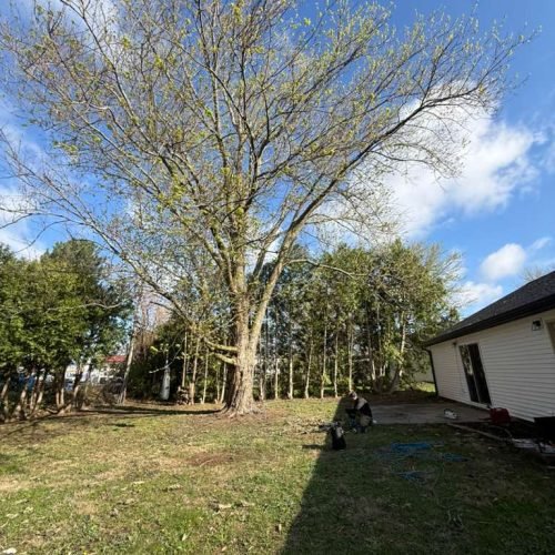 WhatsApp Image 2026-04-06 at 1.36.24 PM (2)