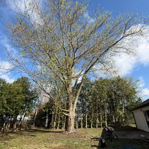 WhatsApp Image 2026-04-06 at 1.36.24 PM