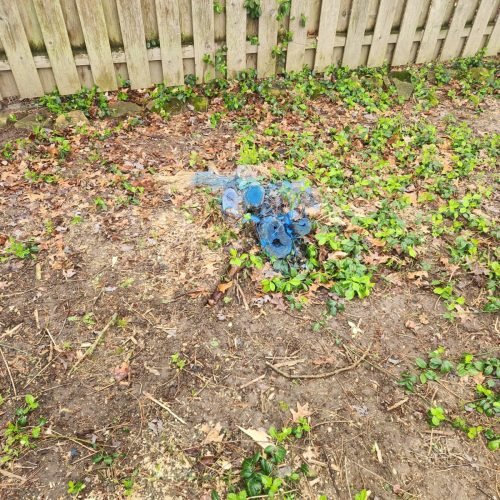 WhatsApp Image 2026-04-06 at 11.07.03 AM