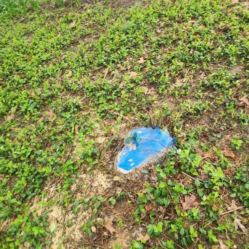 WhatsApp Image 2026-04-06 at 11.07.05 AM (2)