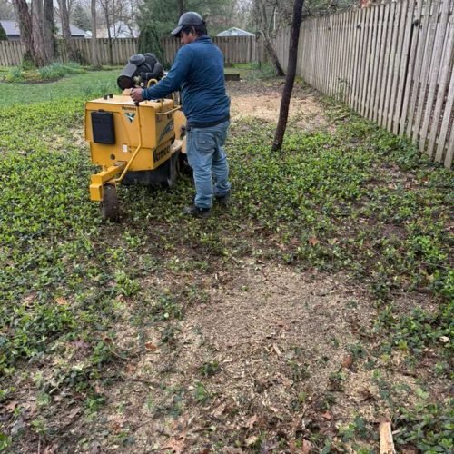 WhatsApp Image 2026-04-06 at 11.07.05 AM