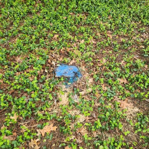 WhatsApp Image 2026-04-06 at 11.07.06 AM (1)