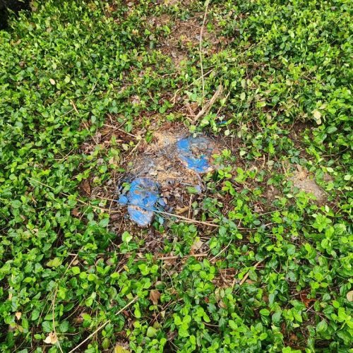 WhatsApp Image 2026-04-06 at 11.07.06 AM