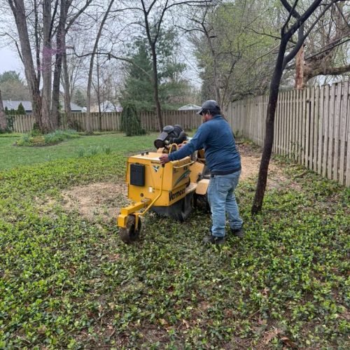 WhatsApp Image 2026-04-06 at 11.07.07 AM