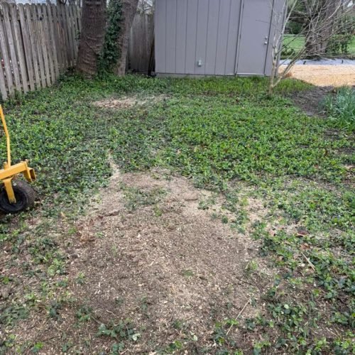 WhatsApp Image 2026-04-06 at 11.07.08 AM (1)