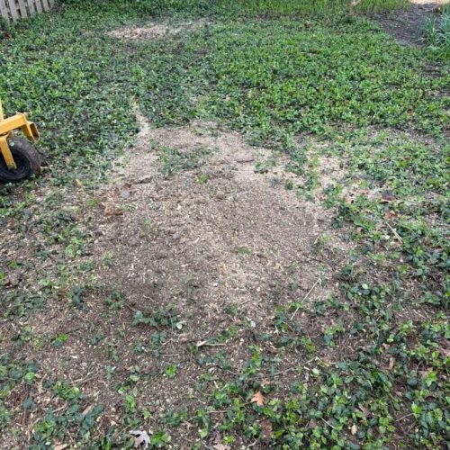 WhatsApp Image 2026-04-06 at 11.07.08 AM (2)