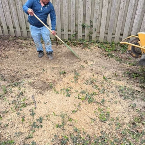 WhatsApp Image 2026-04-06 at 11.07.08 AM