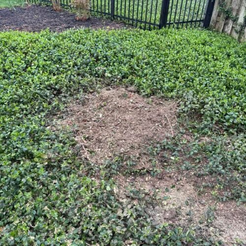 WhatsApp Image 2026-04-06 at 11.07.09 AM